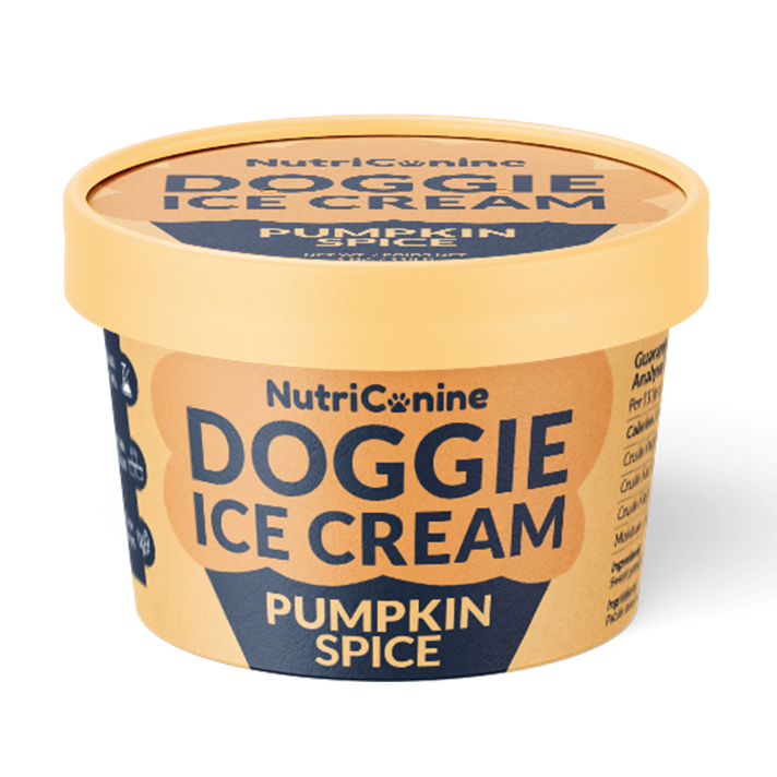 Pumpkin Spice Doggie Ice Cream