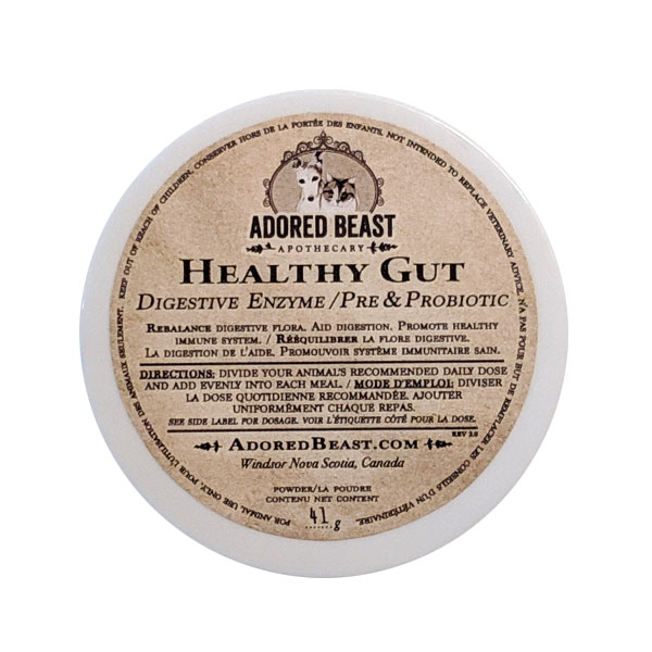 Healthy Gut