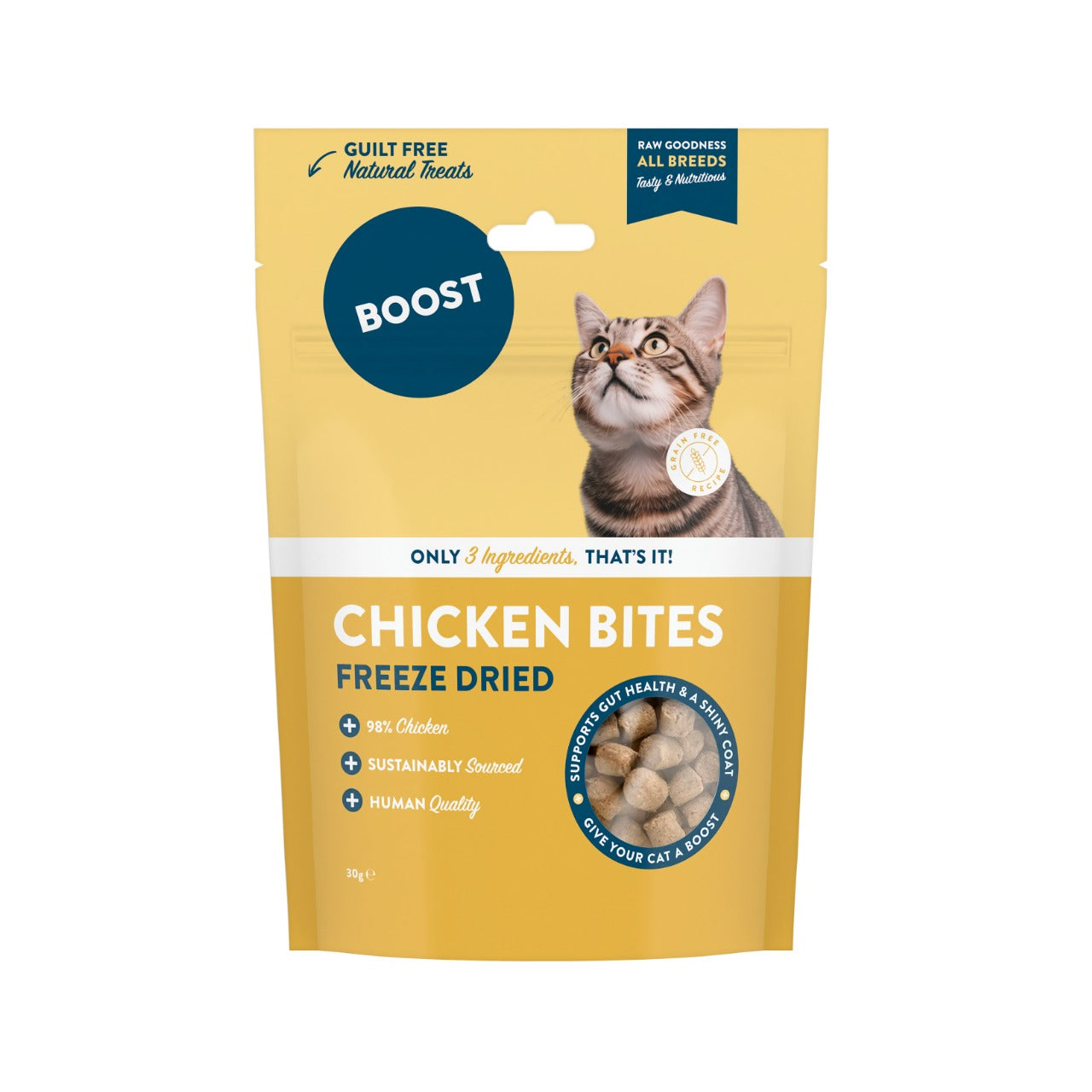 Freeze Dried Chicken Bites