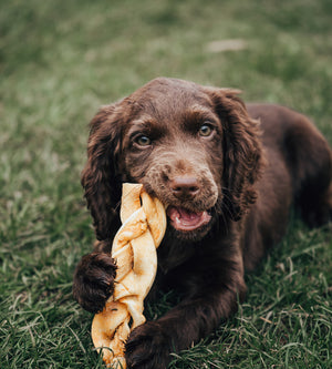 Naturals Beef medium Braid Dog Chew