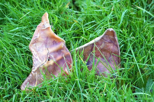 Pigs Ears