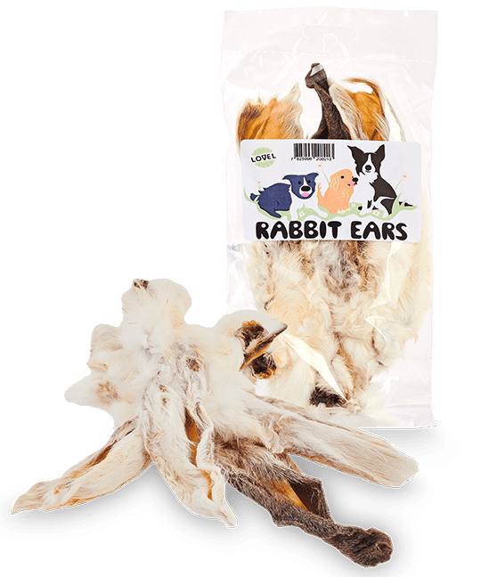 Furry Rabbit Ears