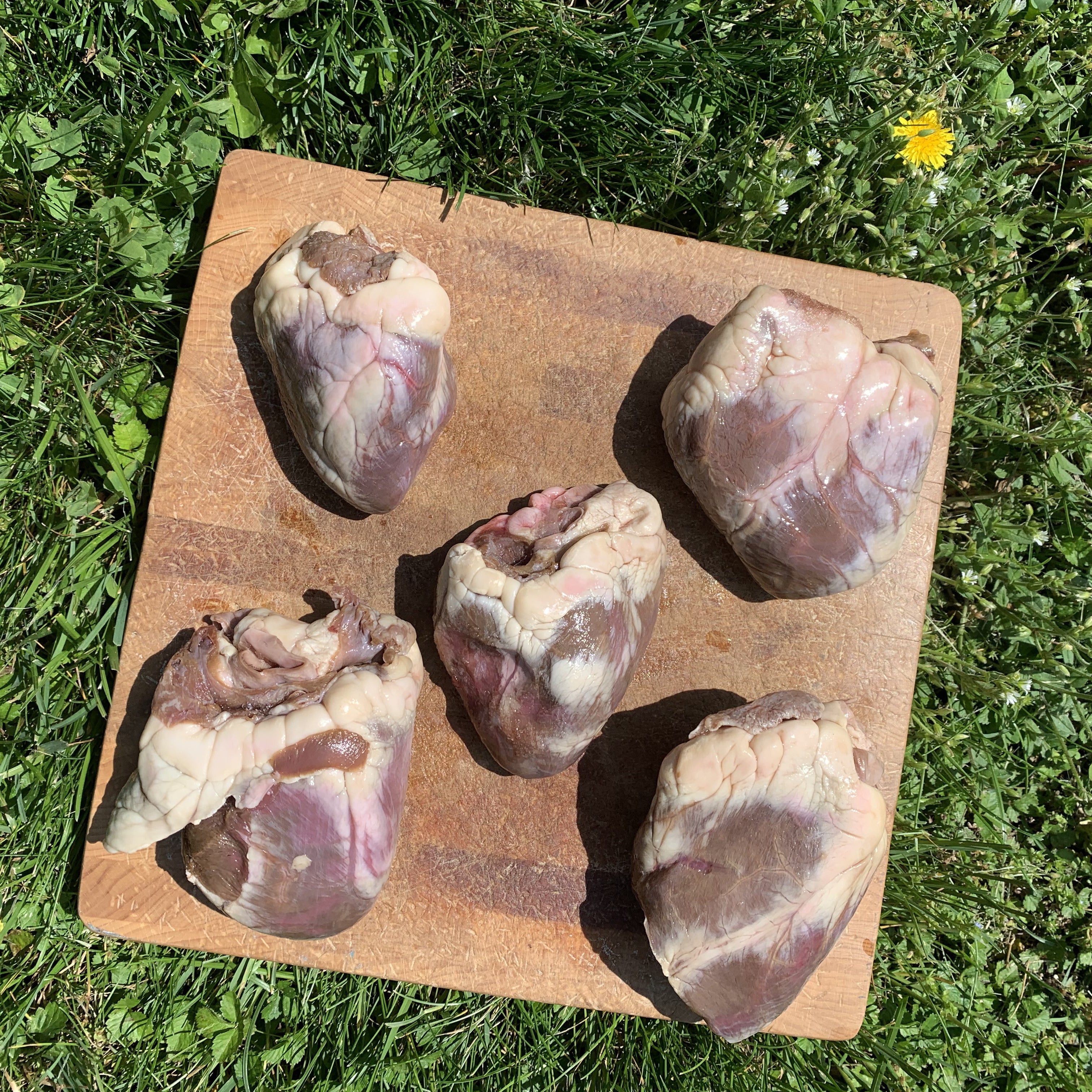 Whole Chicken Hearts