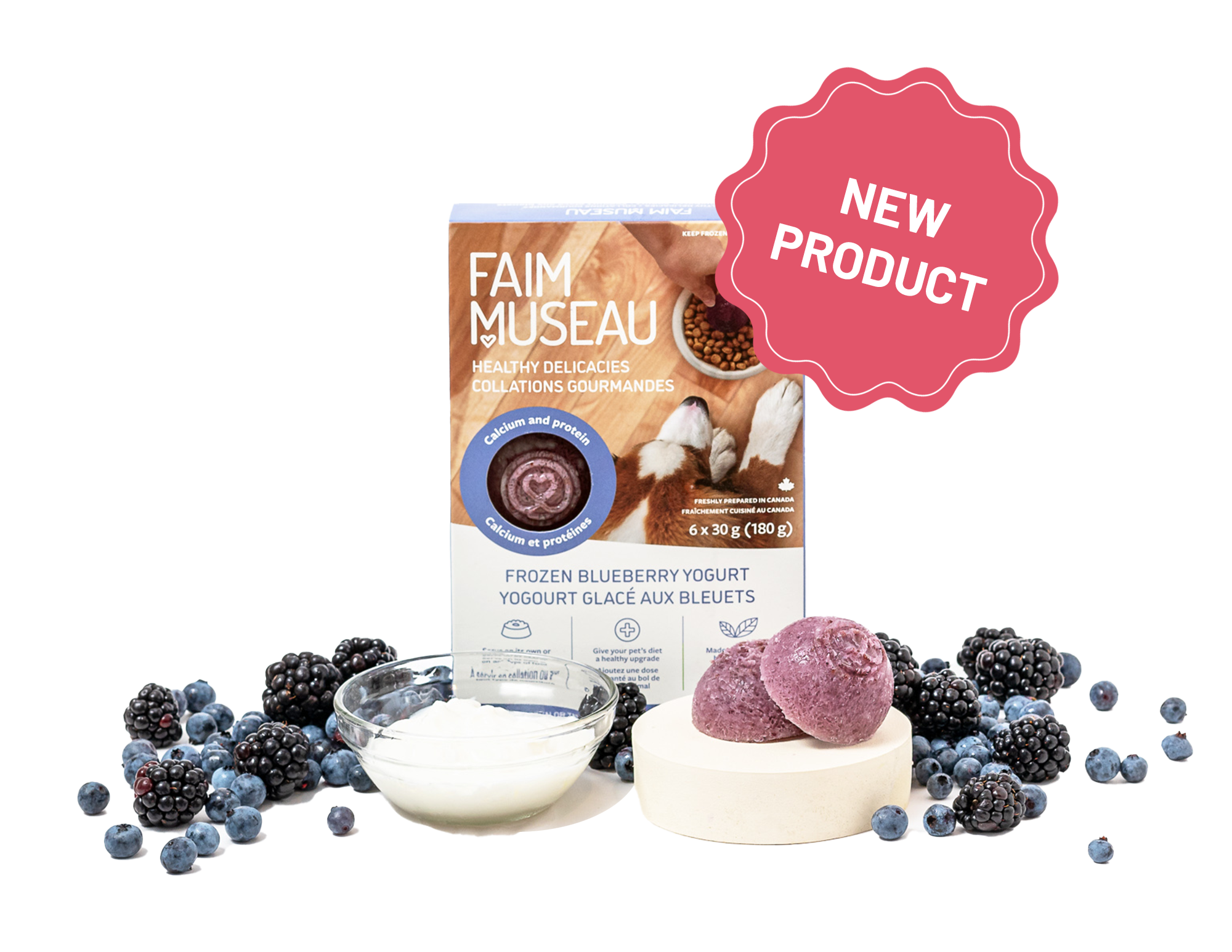 Frozen Blueberry Yogurt