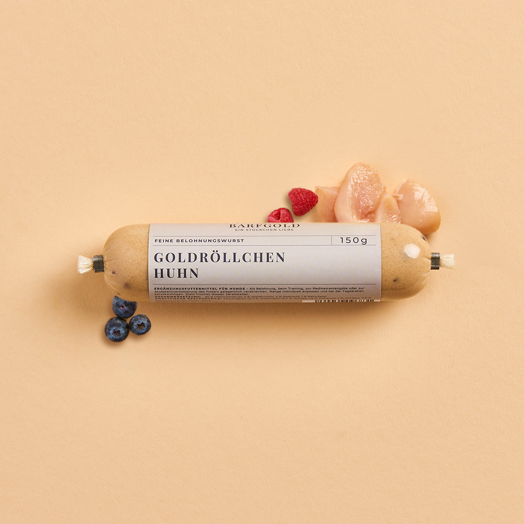 Goldröllchen Huhn