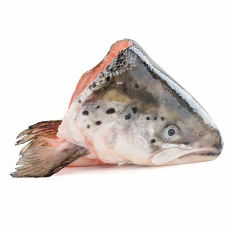 Salmon Heads