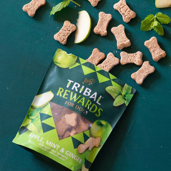 Rewards Apple, Mint & Ginger Dog Biscuits