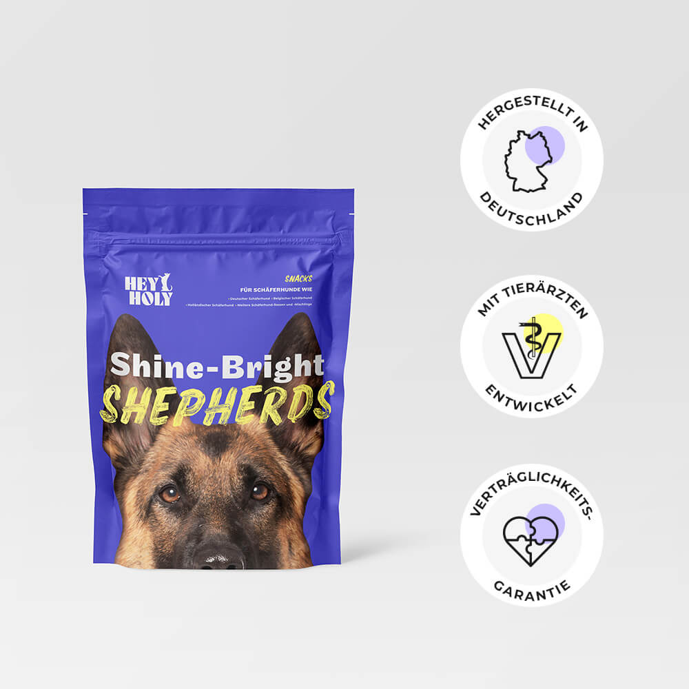 Shine-Bright Shepherds Snacks