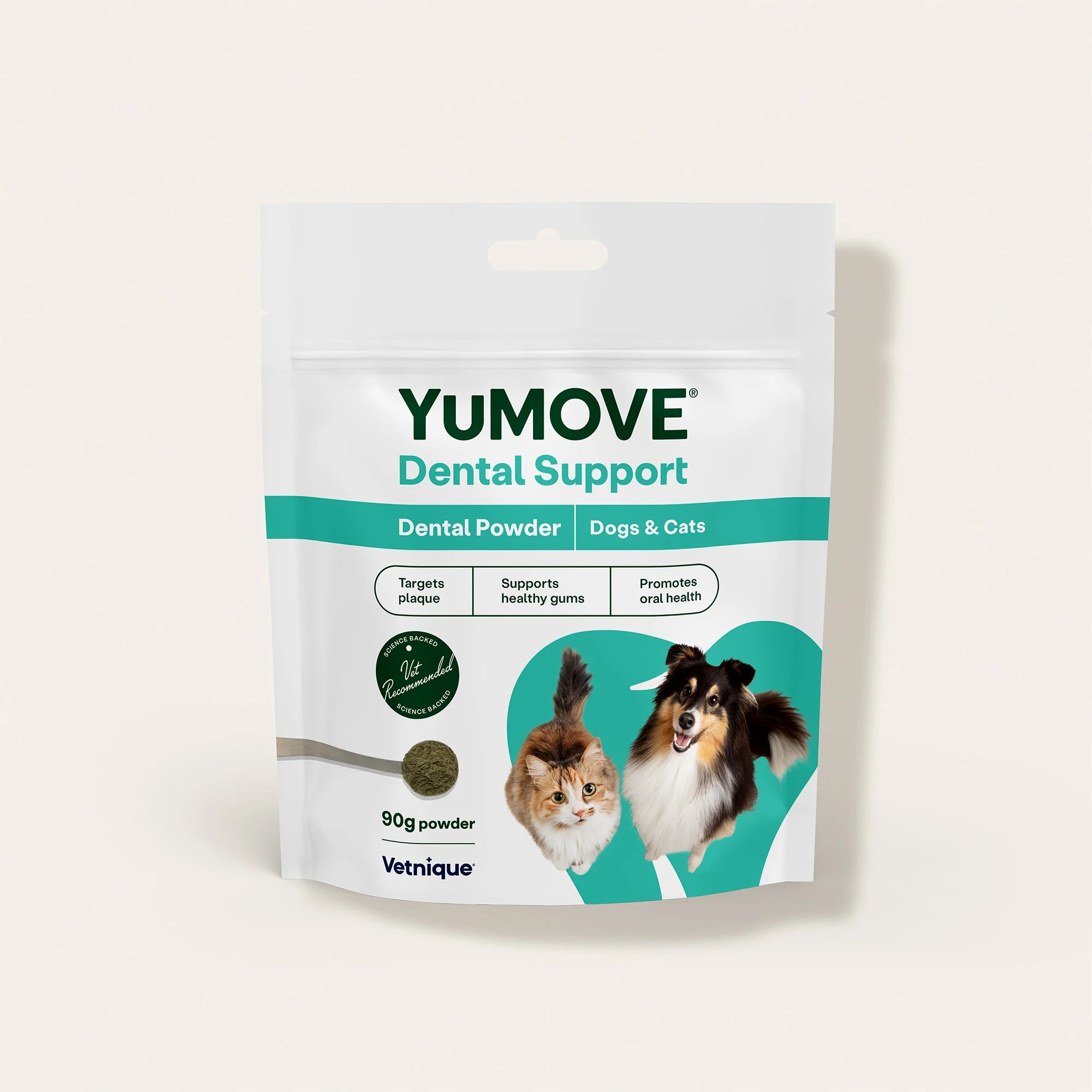 Dental Powder
