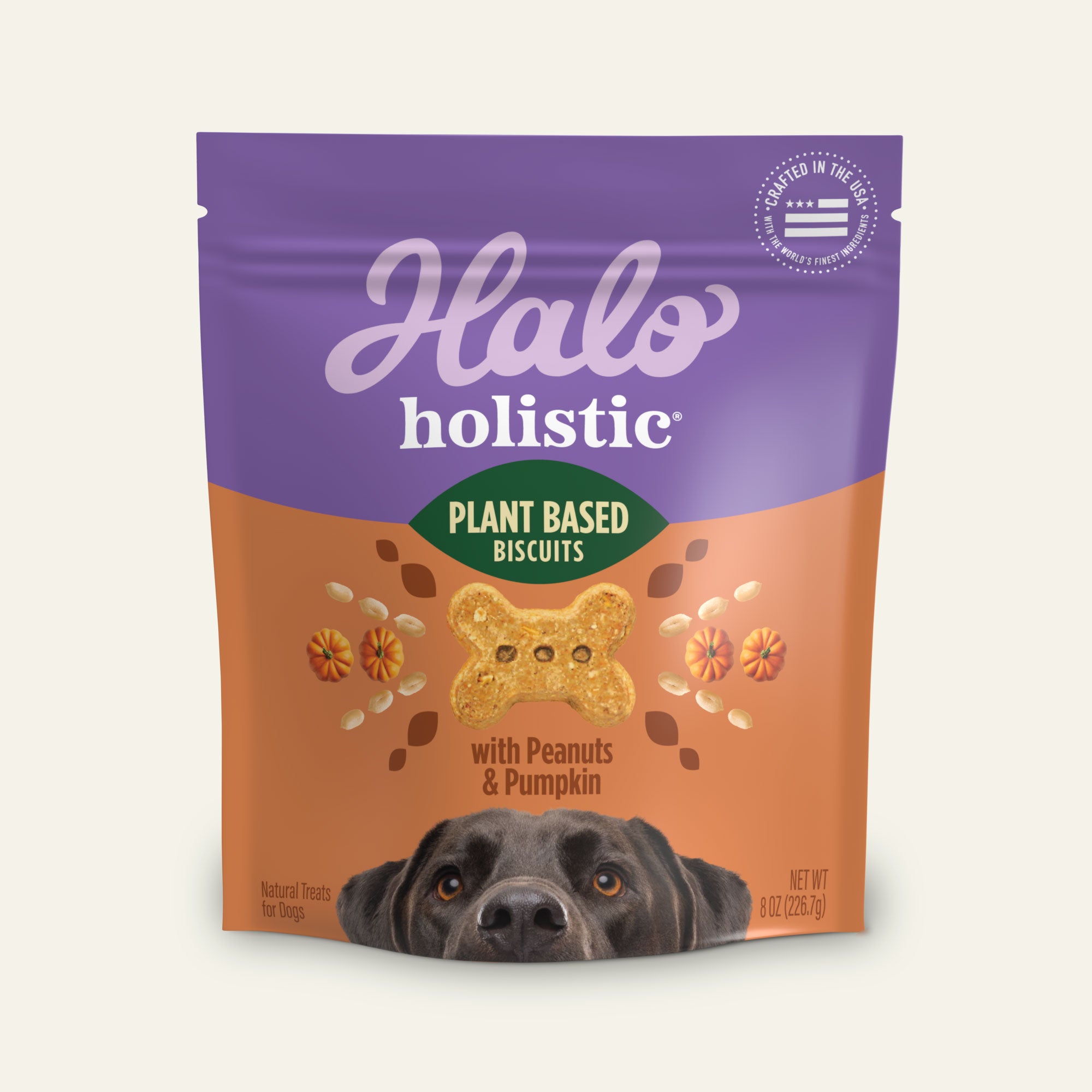 Holistic Plant Based with Peanut & Pumpkin Dog Biscuits