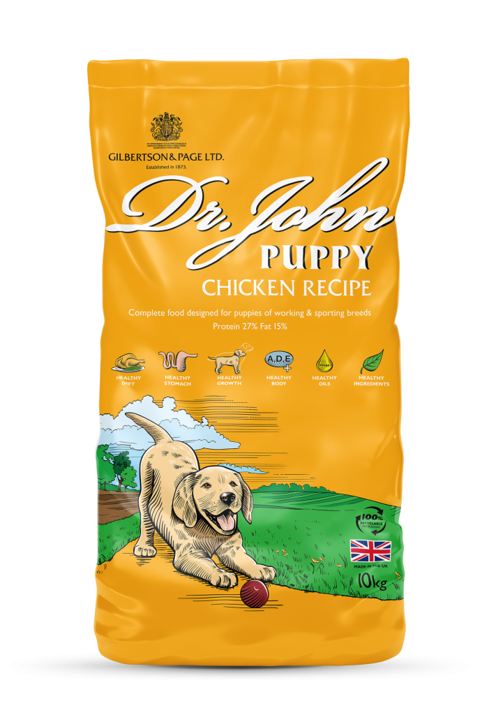 Puppy chicken recipe