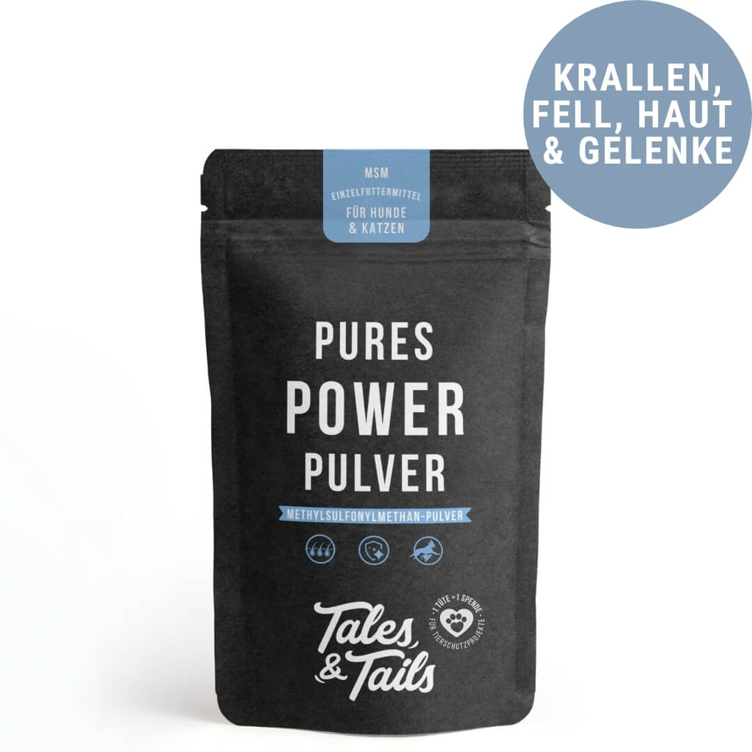 MSM Powder