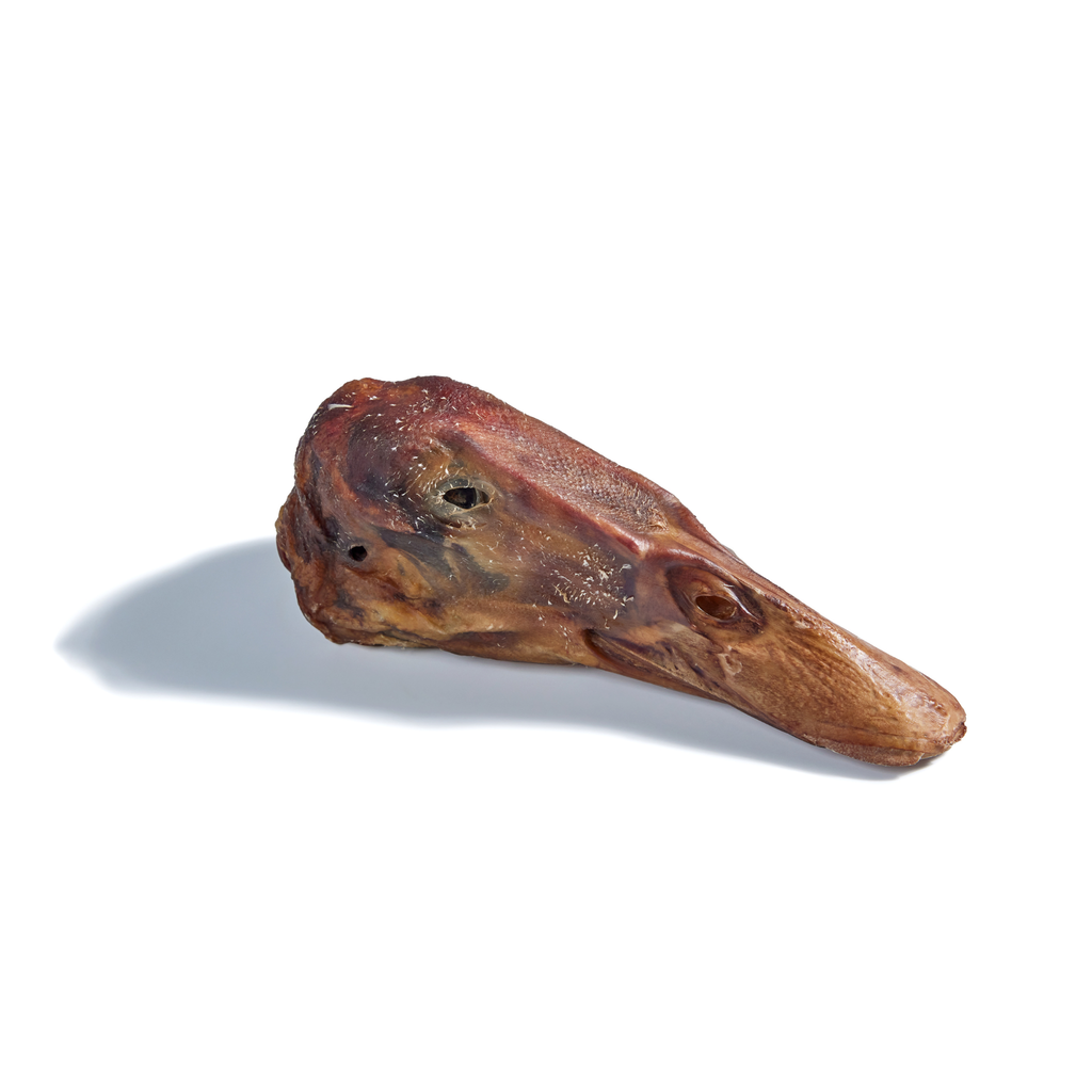 Dehydrated Duck Head