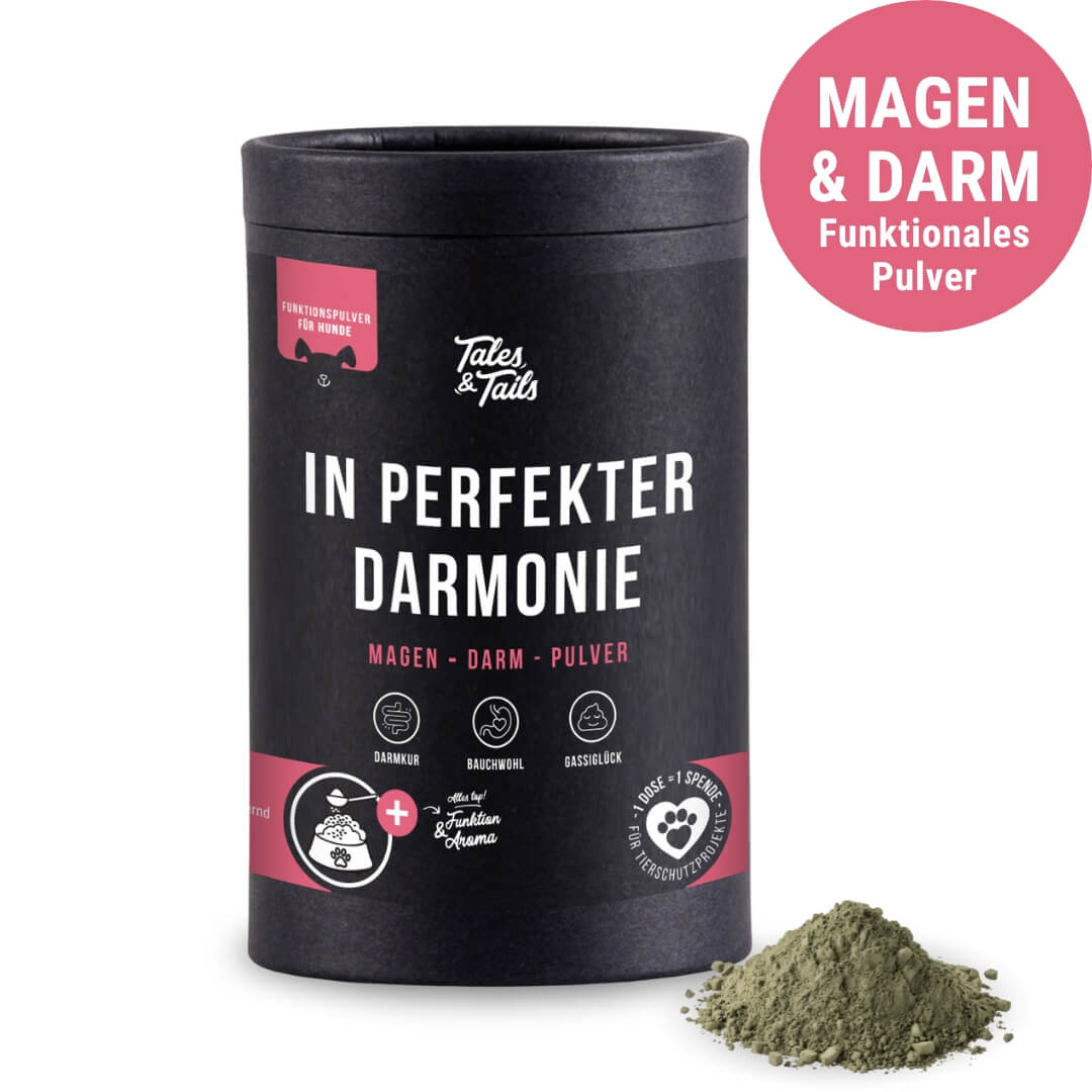 In perfekter Darmonie Magen-Darm-Pulver
