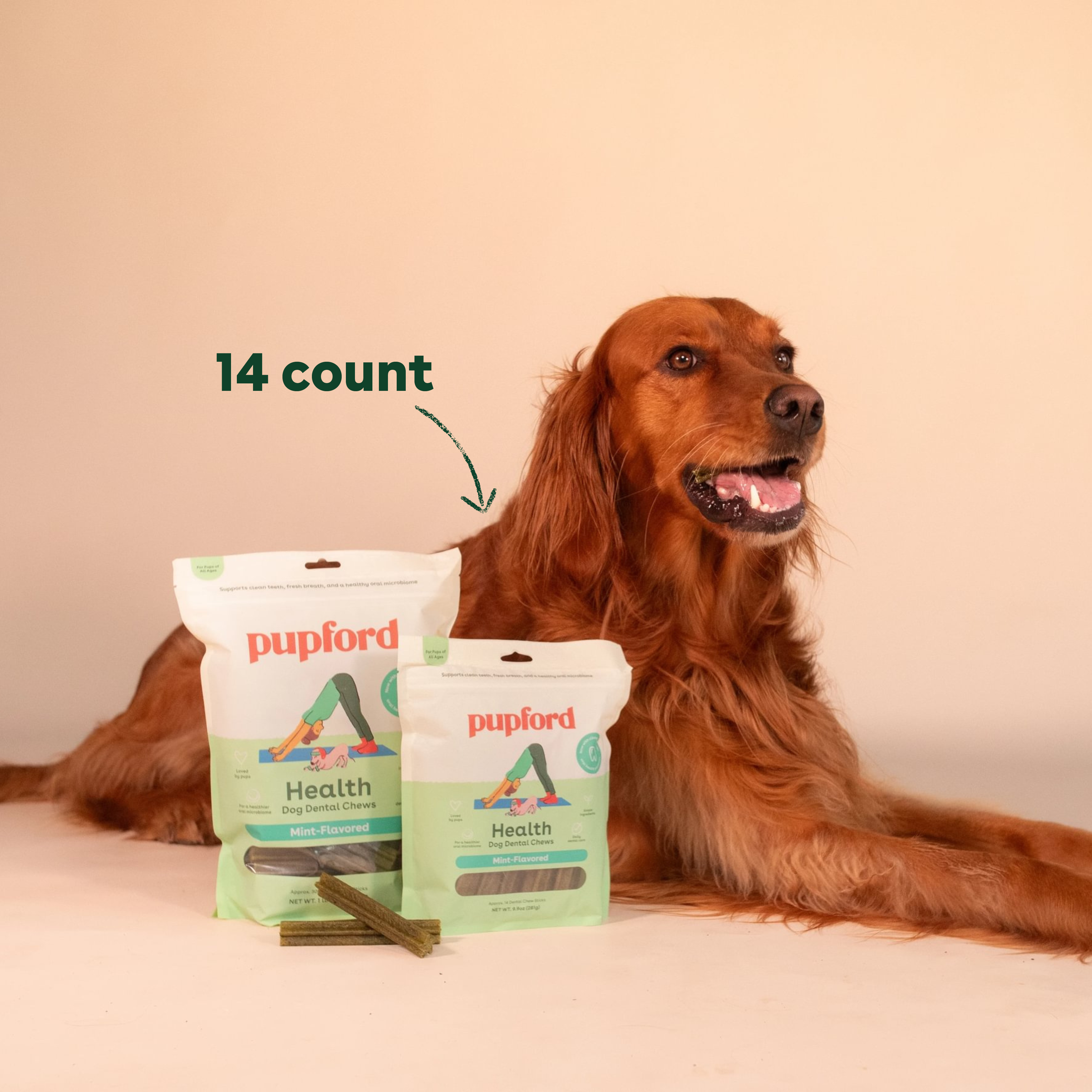 Dental Chews