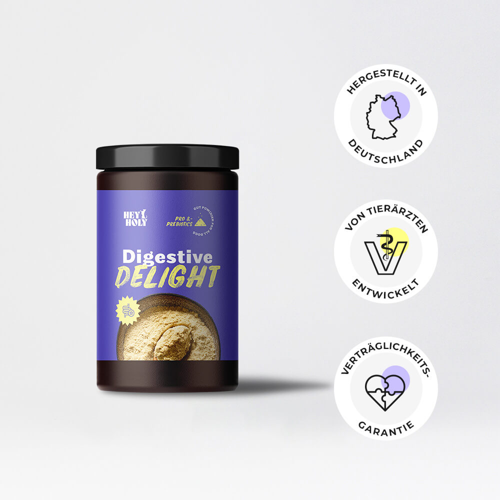 Digestive Delight