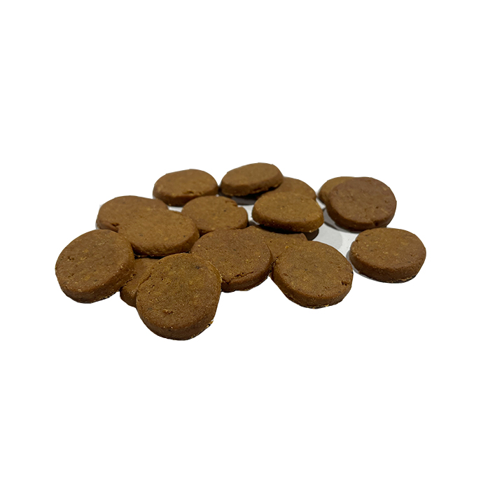 Salmon Discs