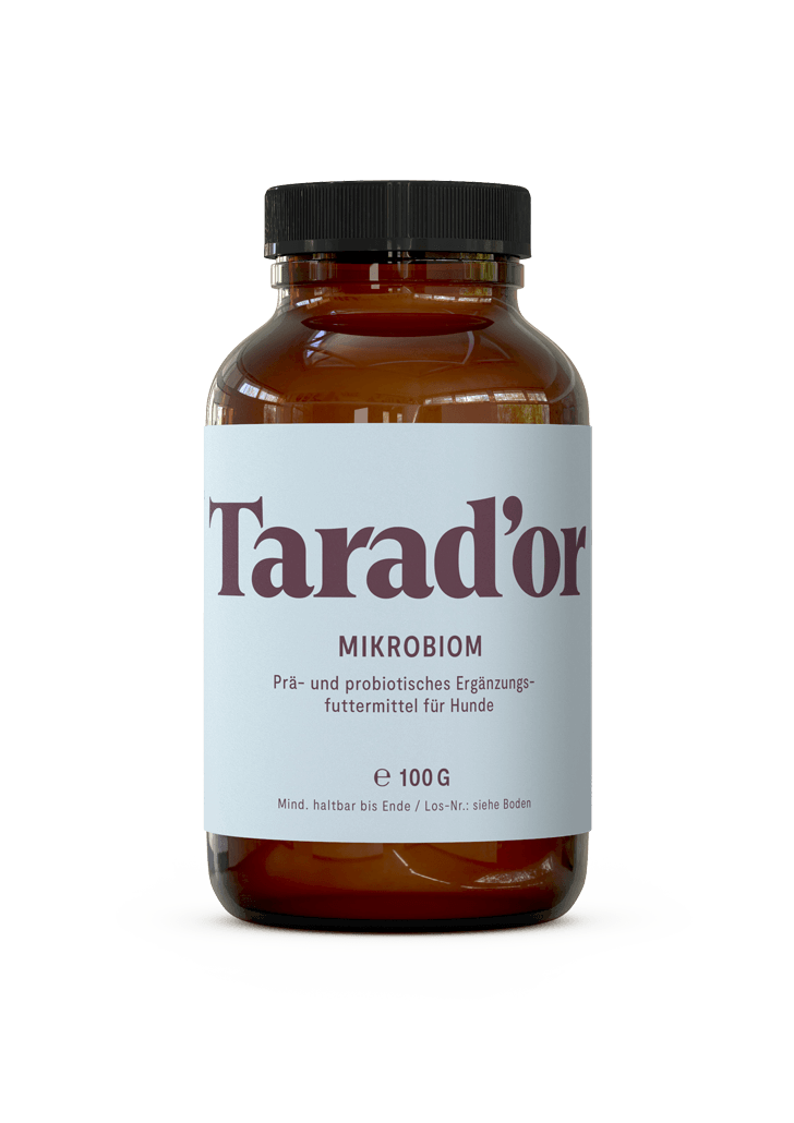 Mikrobiom: Prä- & probiotische Gesundheitskur für Hunde