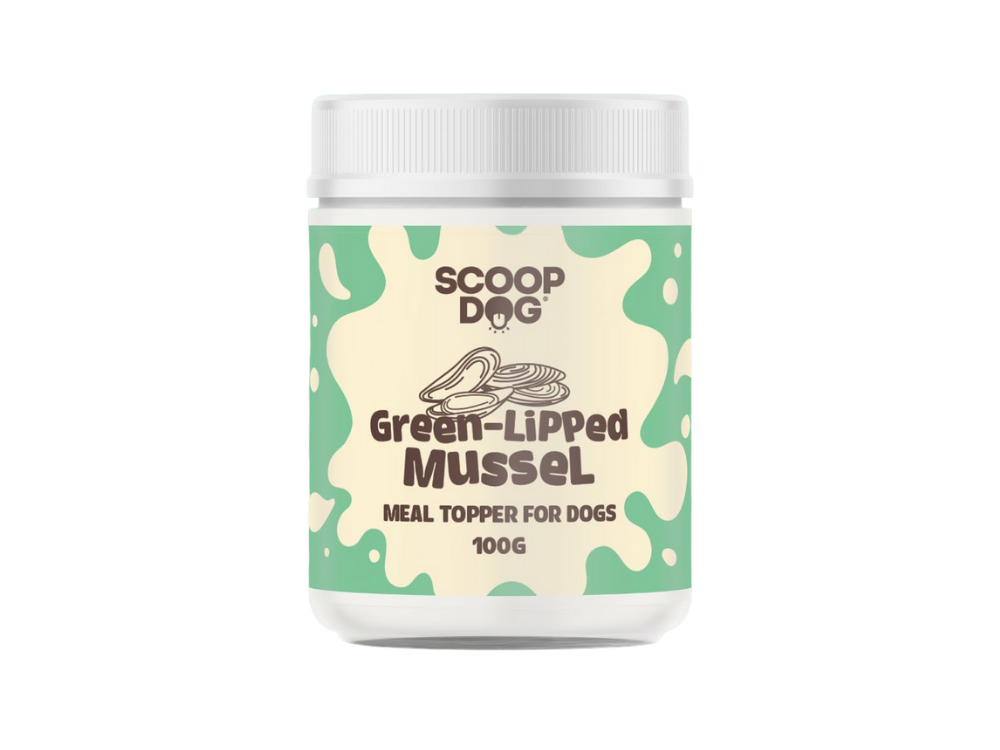 Green Lipped Mussel Topper