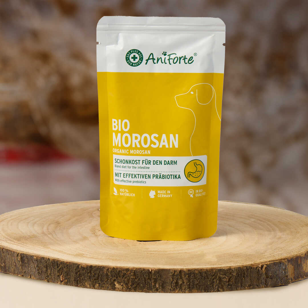 Bio Morosan
