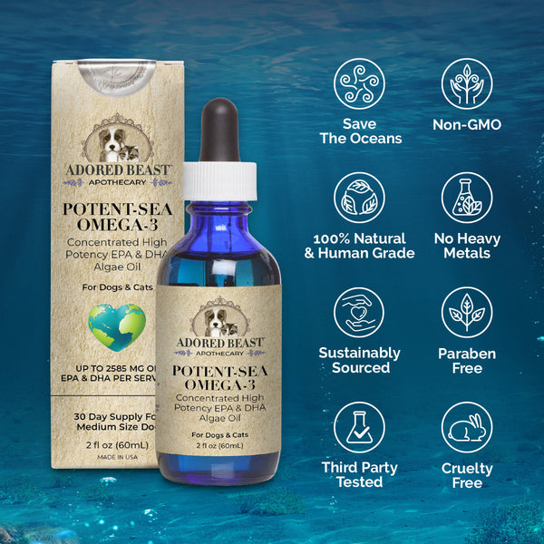 Potent Sea Algae Oil