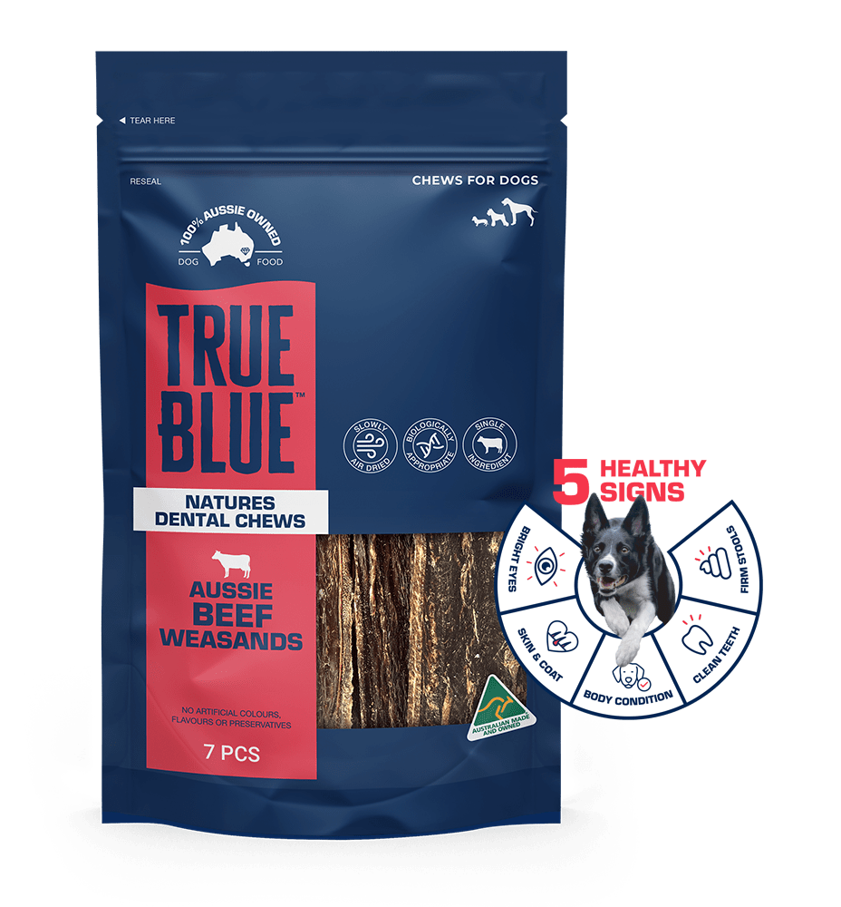Natures Dental Chews Aussie Beef Weasands