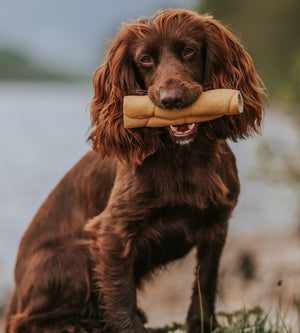 Buffalo Roll Medium Dog Natural Chew Treat