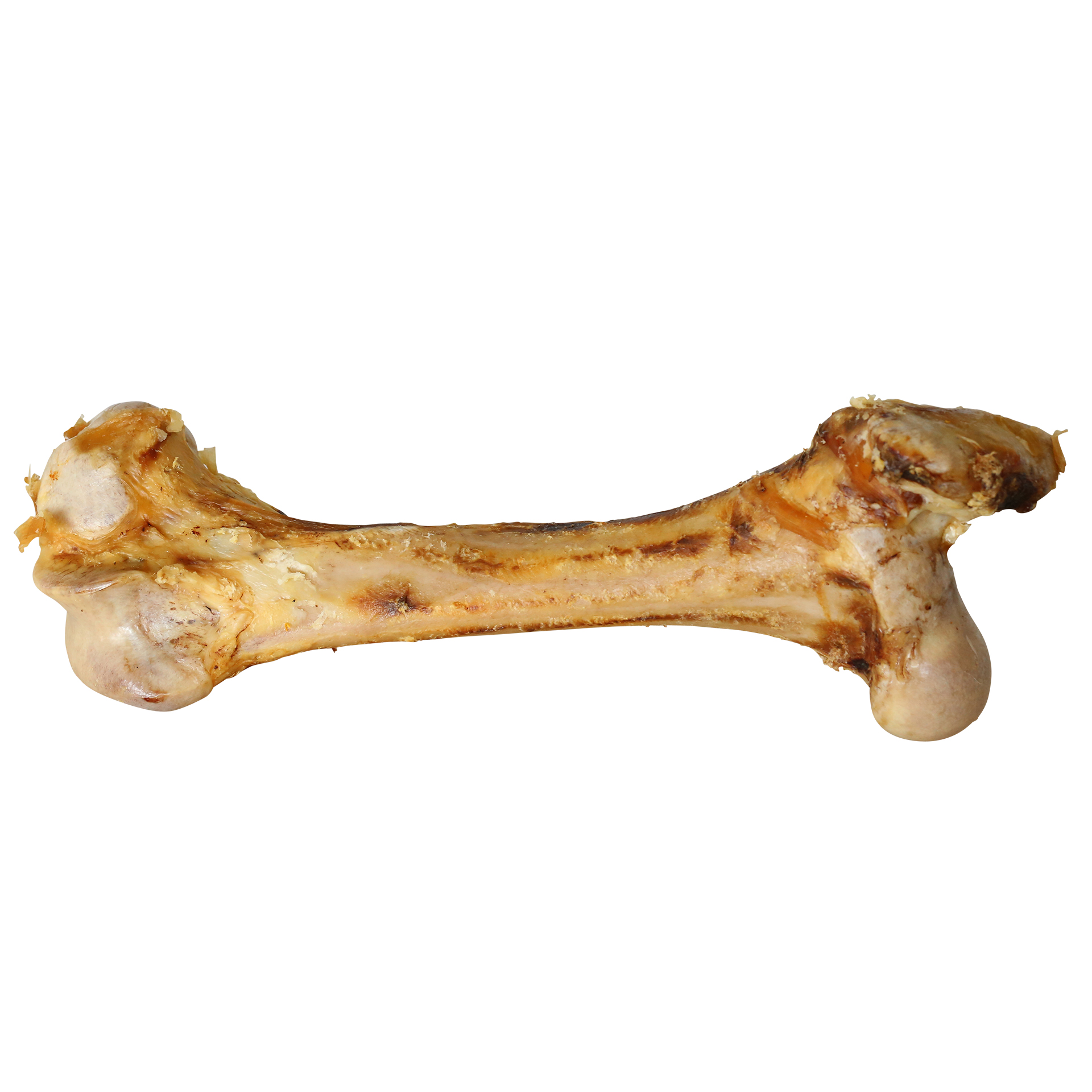 Jumbo bone