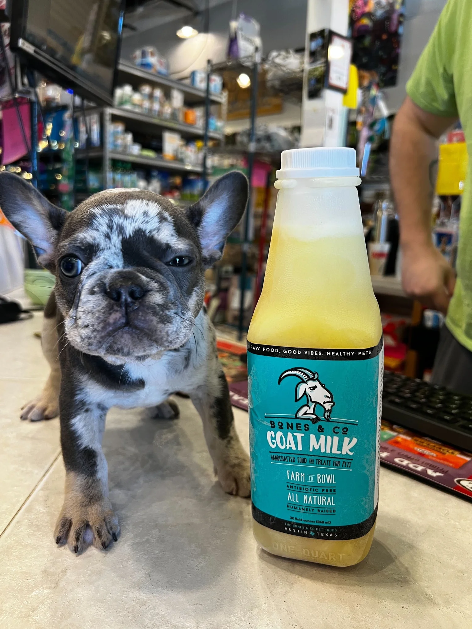 Raw Goat Milk