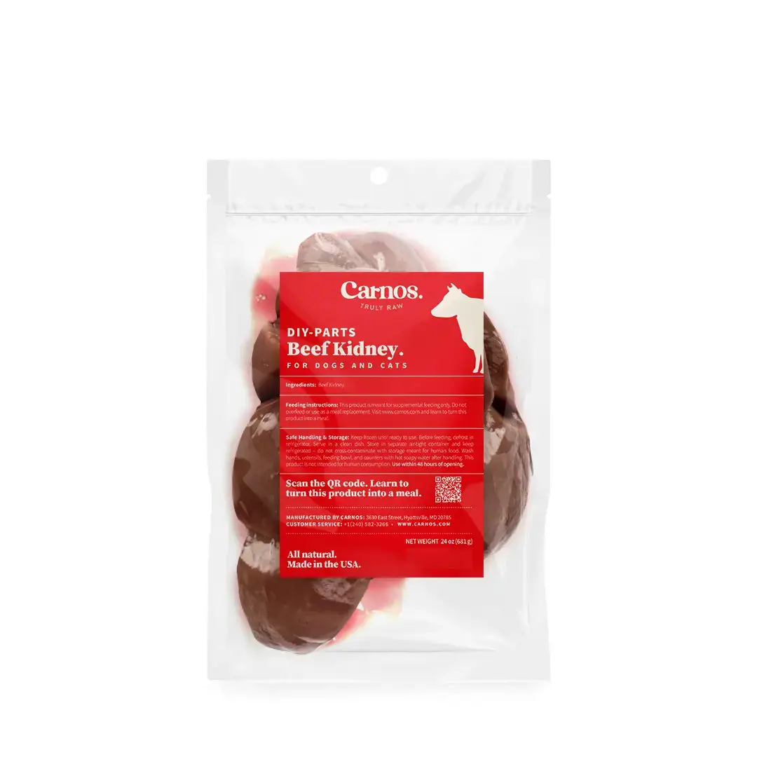 Beef Kidney