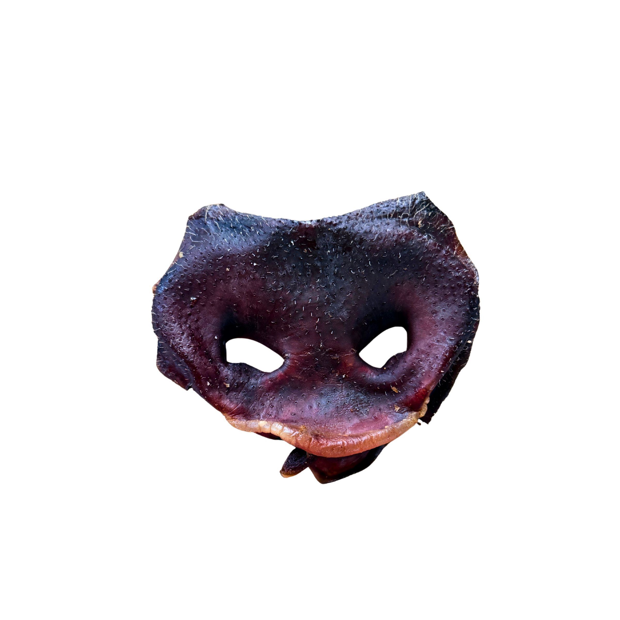 Pig Snout