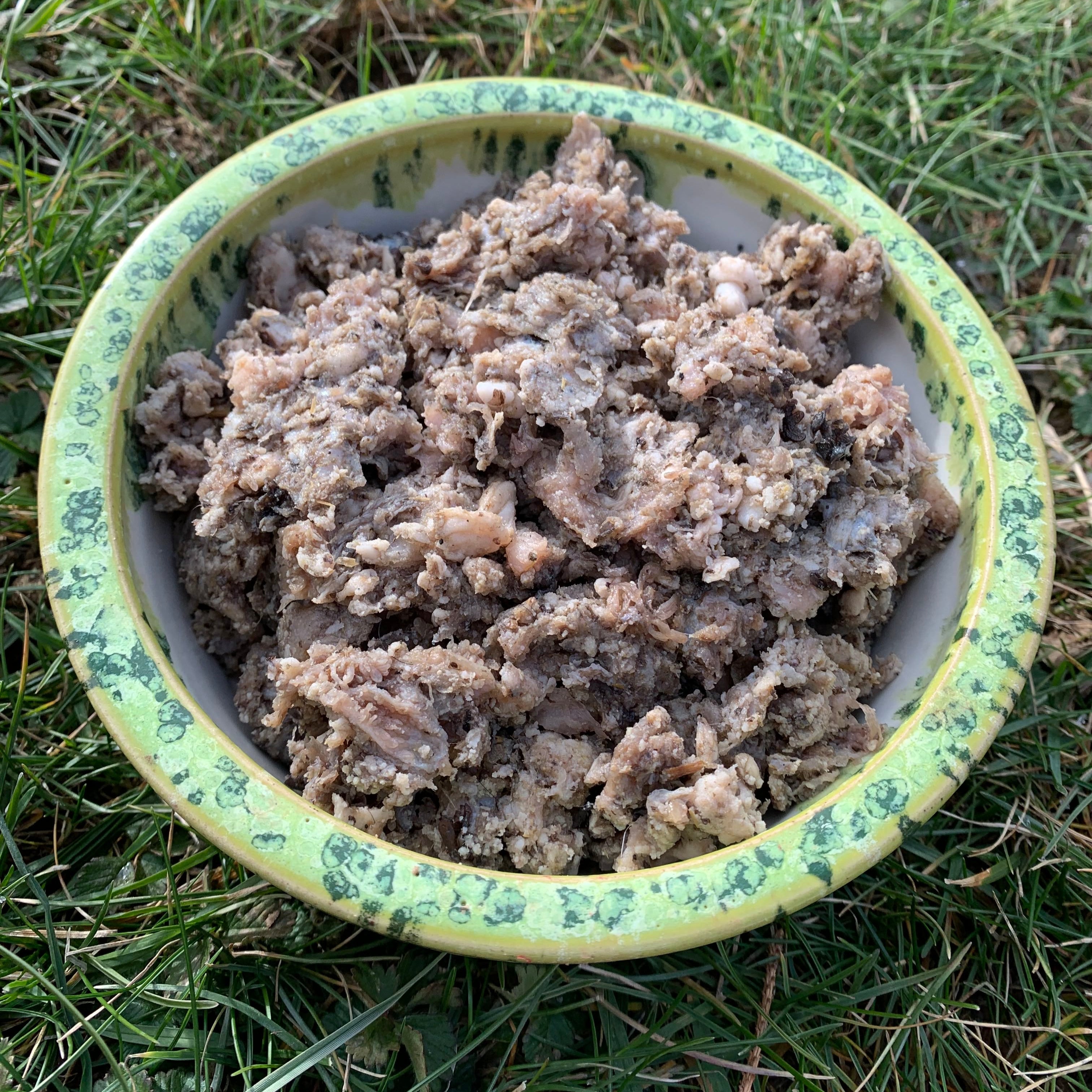 Ground Beef Pancreas