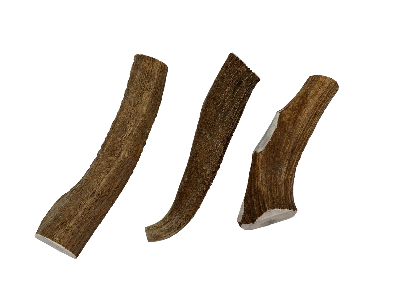 Elk Antlers