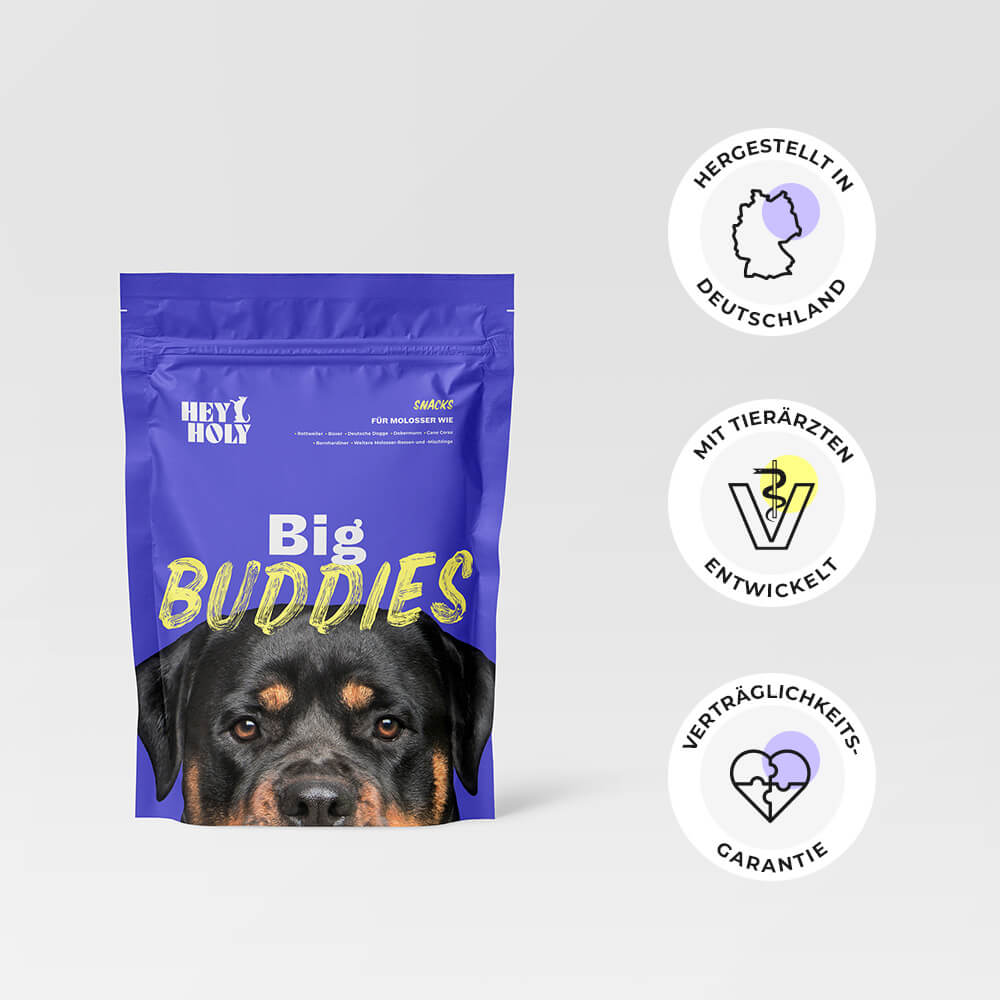 Big Buddies Snacks