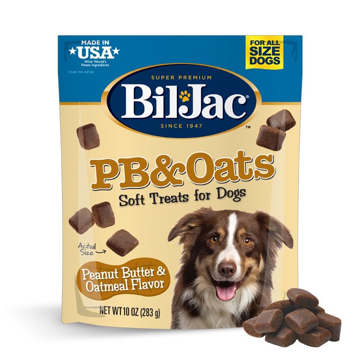 PB & Oats Soft Treats