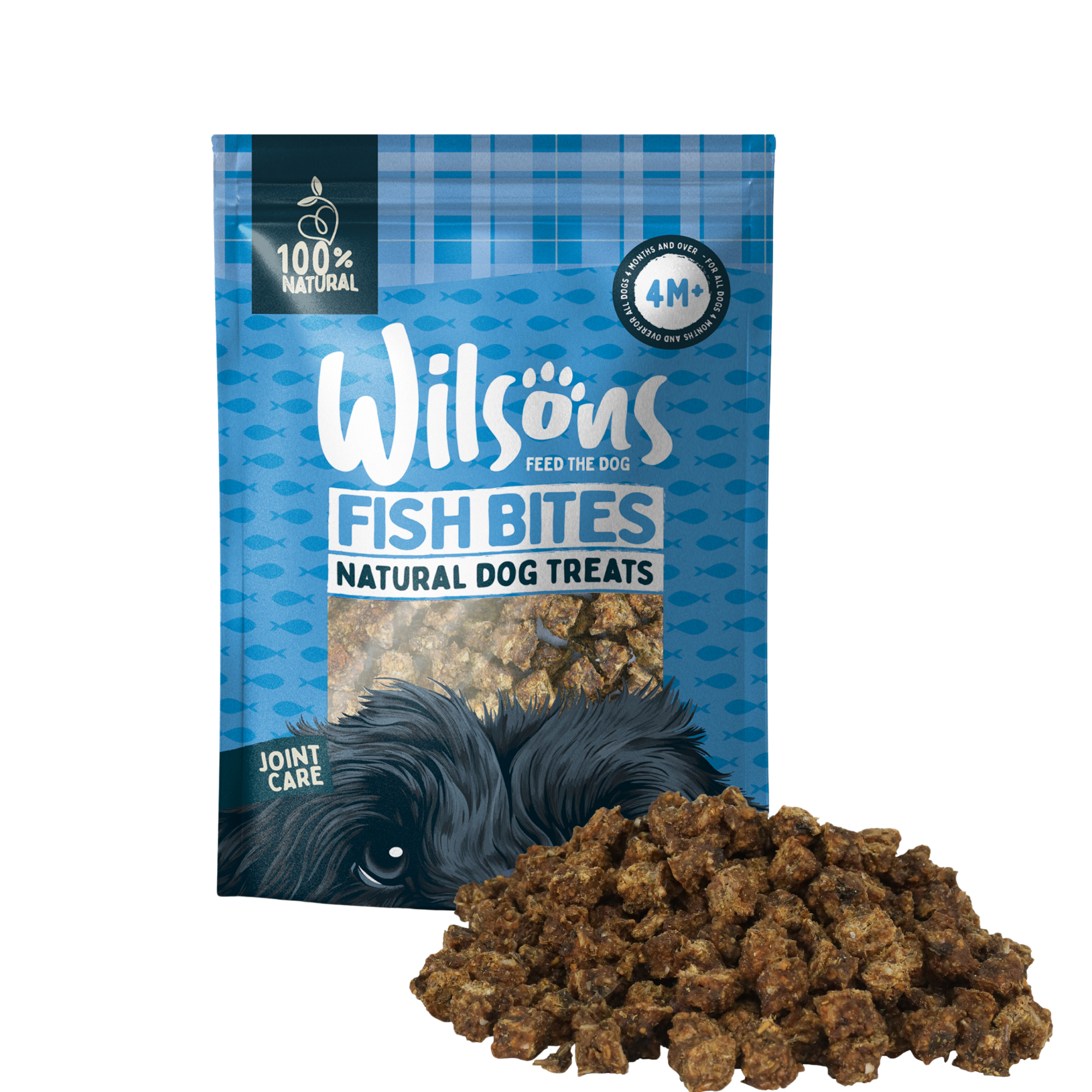Fish Bites