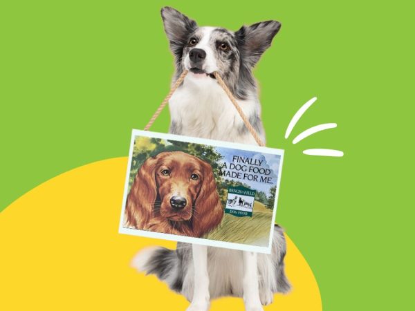Holistic Natural Canine Formula