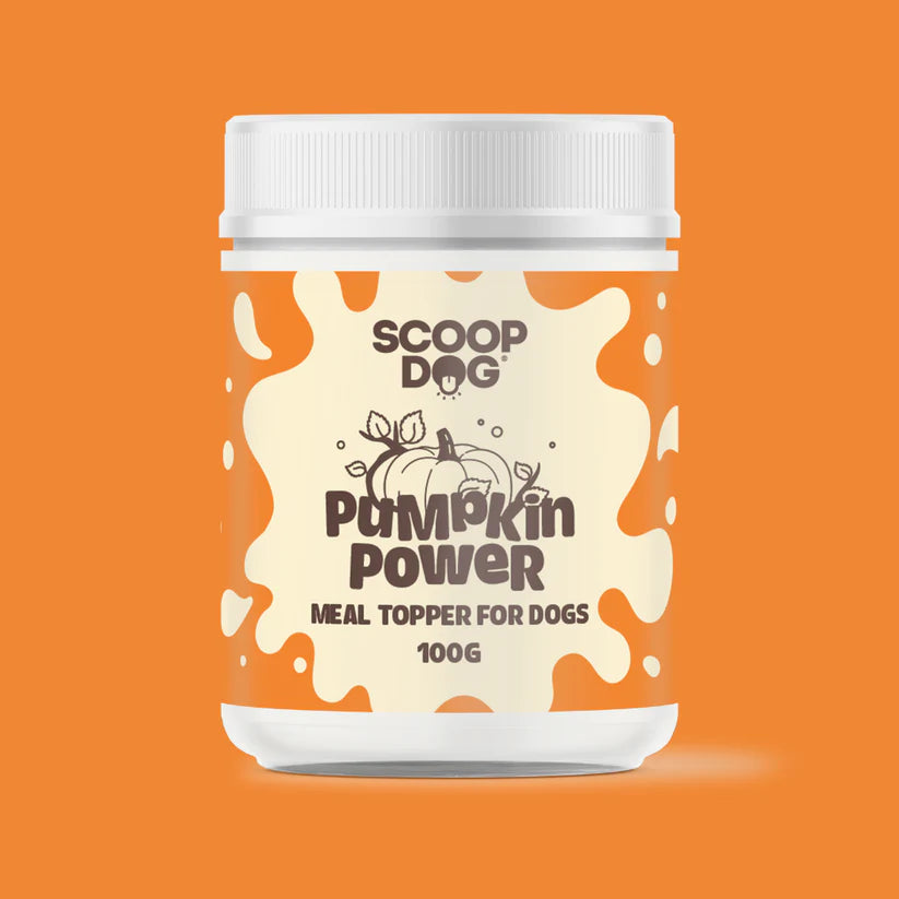 Pumpkin Power Topper